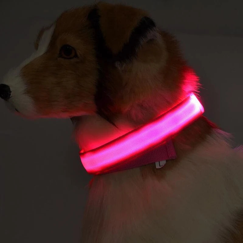 Collier de chien en nylon à LED, colliers pour animaux de compagnie, sécurité nocturne, clignotant, lueur dans la nuit
