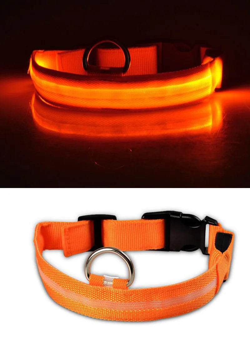 Collier de chien en nylon à LED, colliers pour animaux de compagnie, sécurité nocturne, clignotant, lueur dans la nuit