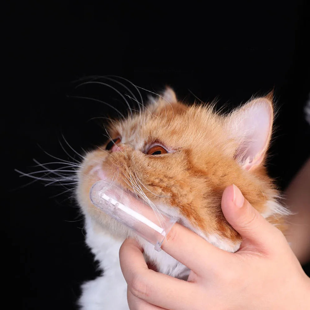 Brosse à dents en Gel de silice Super doux pour animaux de compagnie, accessoire de nettoyage buccal pour chiens, chats, mauvaise haleine, tartre, outil de soins dentaires