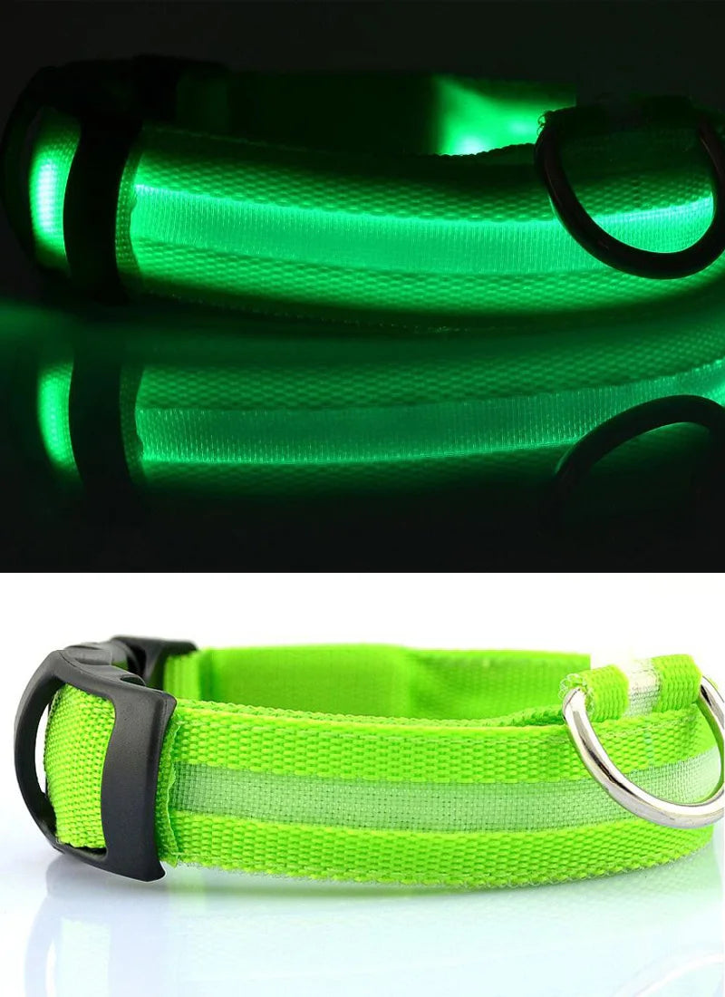 Collier de chien en nylon à LED, colliers pour animaux de compagnie, sécurité nocturne, clignotant, lueur dans la nuit