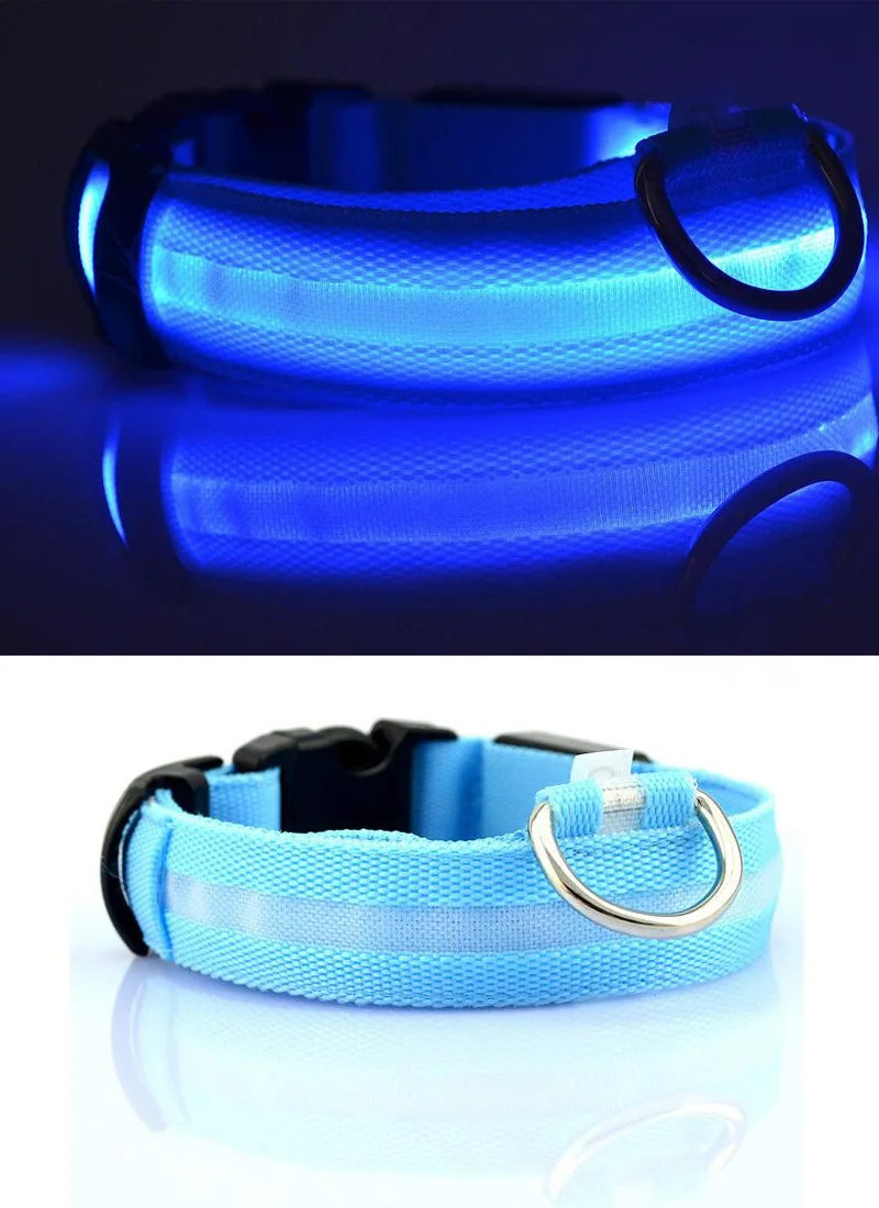 Collier de chien en nylon à LED, colliers pour animaux de compagnie, sécurité nocturne, clignotant, lueur dans la nuit
