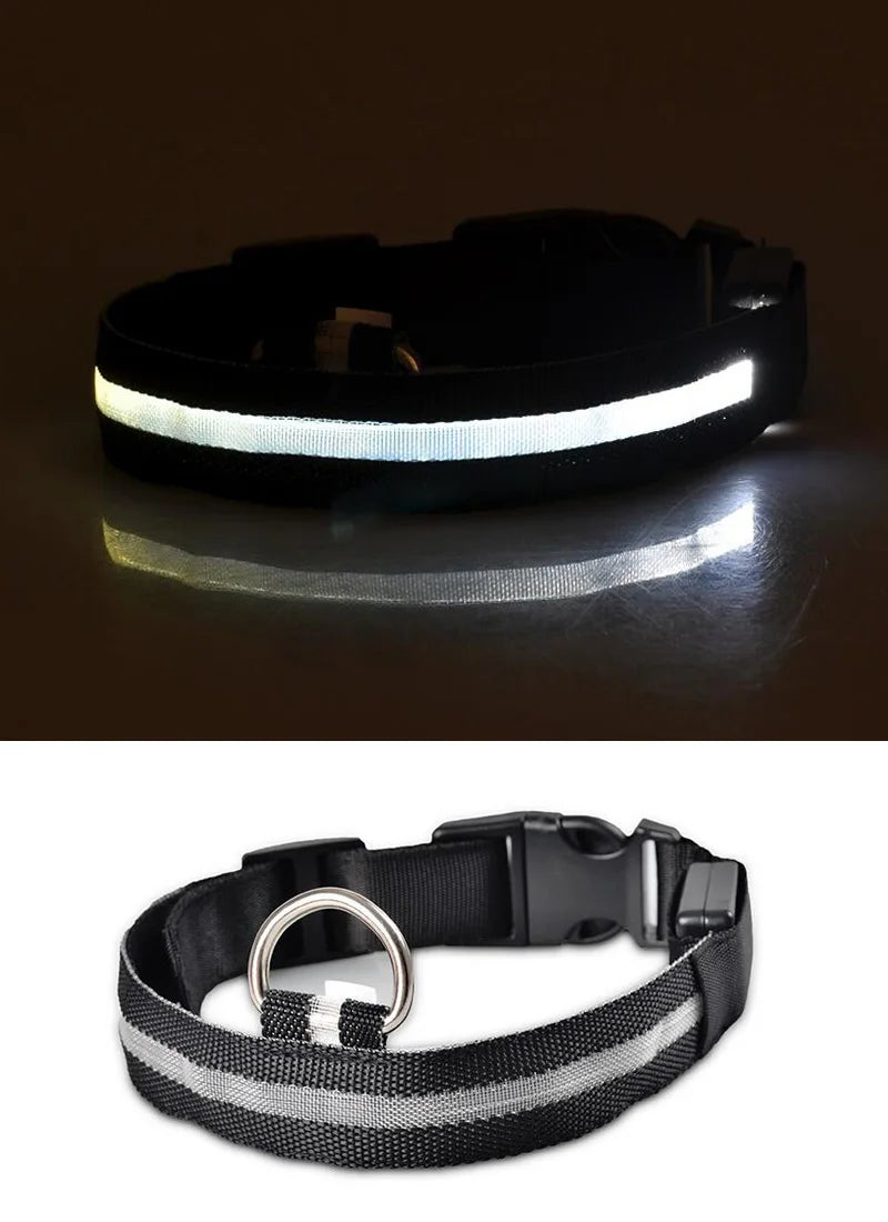 Collier de chien en nylon à LED, colliers pour animaux de compagnie, sécurité nocturne, clignotant, lueur dans la nuit