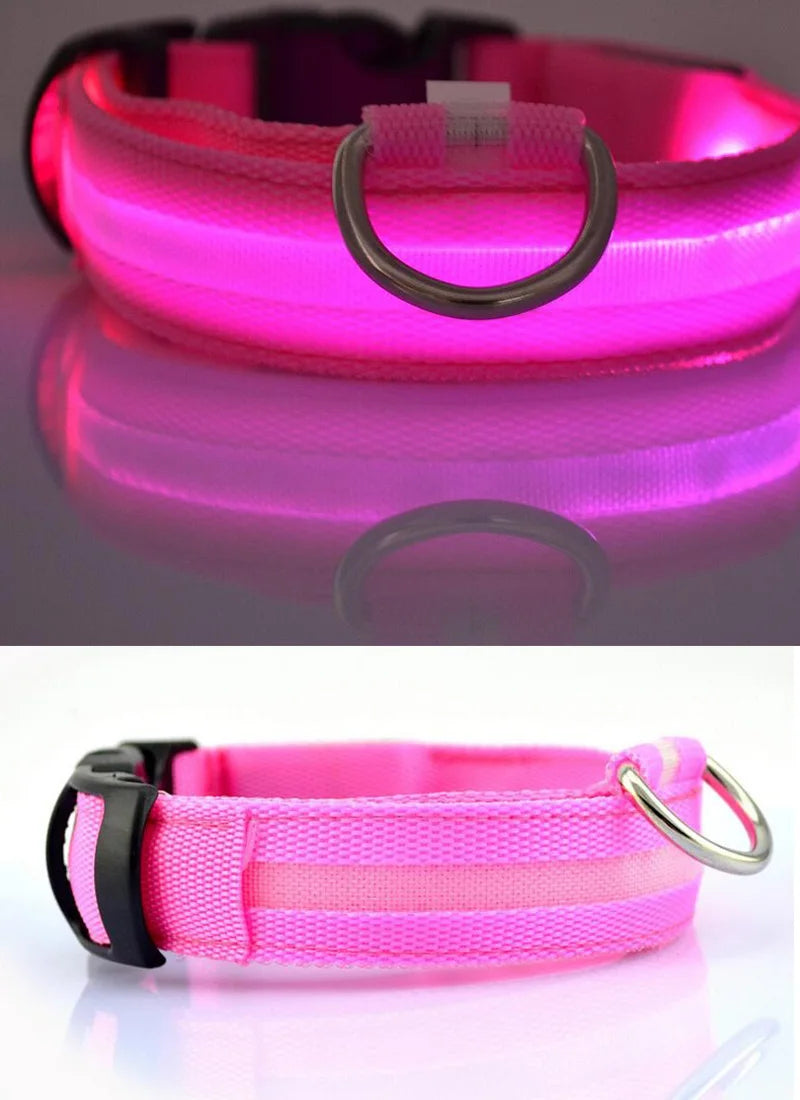 Collier de chien en nylon à LED, colliers pour animaux de compagnie, sécurité nocturne, clignotant, lueur dans la nuit