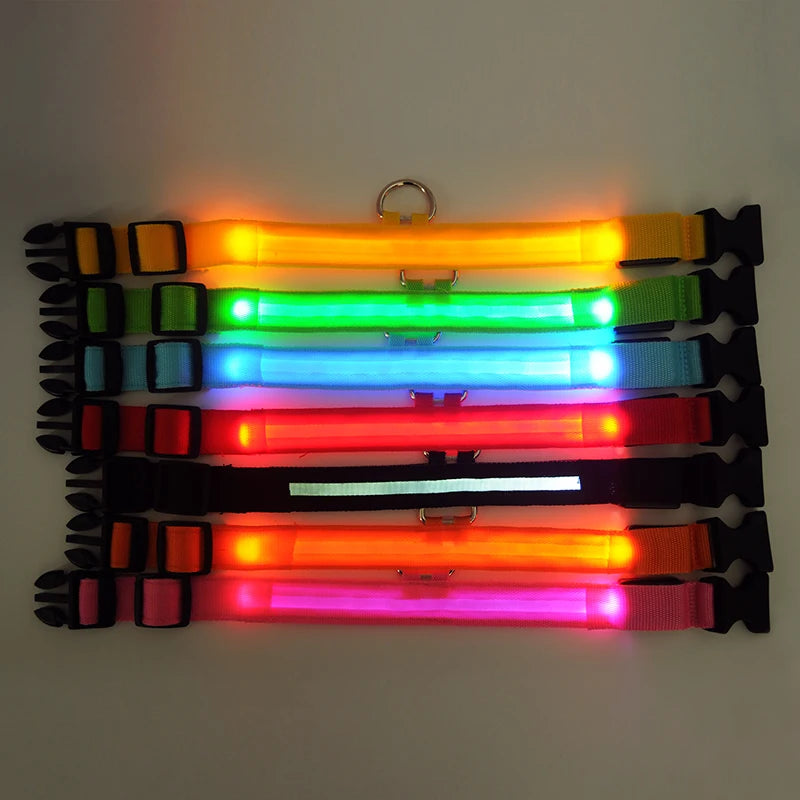 Collier de chien en nylon à LED, colliers pour animaux de compagnie, sécurité nocturne, clignotant, lueur dans la nuit