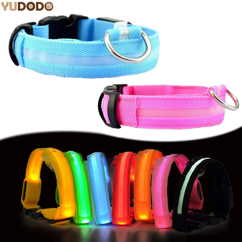 Collier de chien en nylon à LED, colliers pour animaux de compagnie, sécurité nocturne, clignotant, lueur dans la nuit