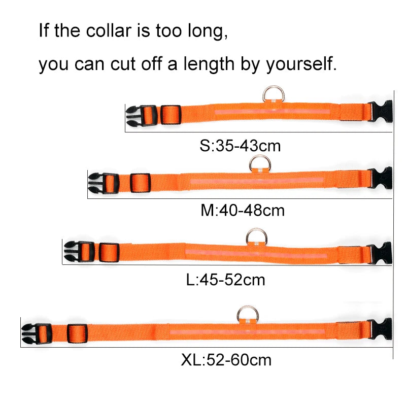 Collier de chien en nylon à LED, colliers pour animaux de compagnie, sécurité nocturne, clignotant, lueur dans la nuit