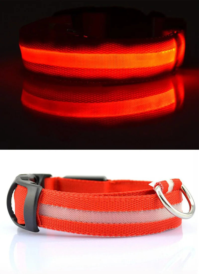 Collier de chien en nylon à LED, colliers pour animaux de compagnie, sécurité nocturne, clignotant, lueur dans la nuit
