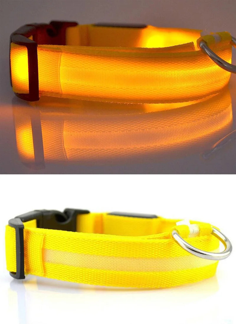 Collier de chien en nylon à LED, colliers pour animaux de compagnie, sécurité nocturne, clignotant, lueur dans la nuit