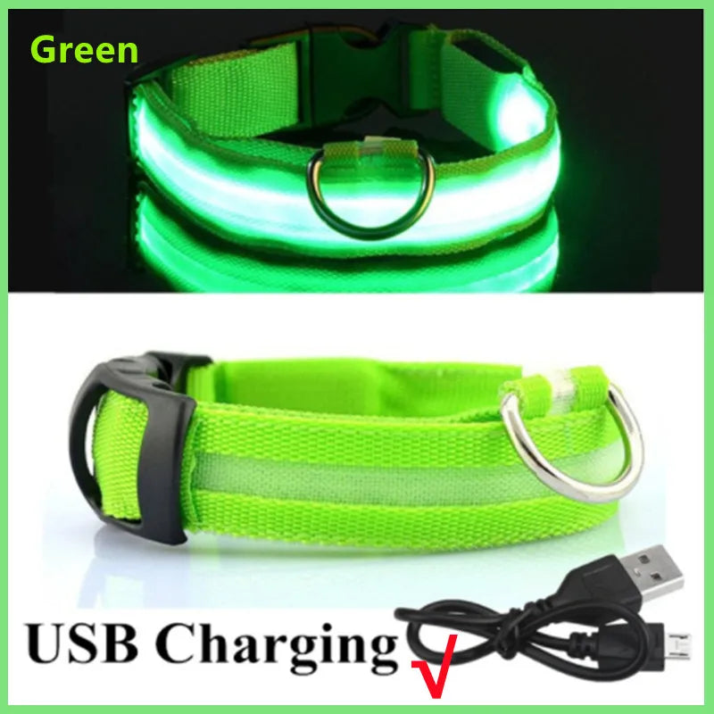 Collier lumineux Rechargeable USB pour chien, réglable, Led, brille, pour grands et petits chiens, chat, veilleuse, sécurité des animaux de compagnie