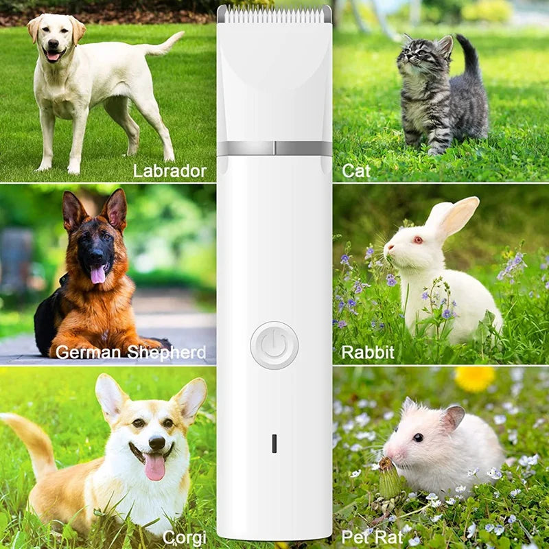Kit de toilettage pour animaux de compagnie 4 en 1 Tondeuse rechargeable pour poils de chien et de coupe ongles