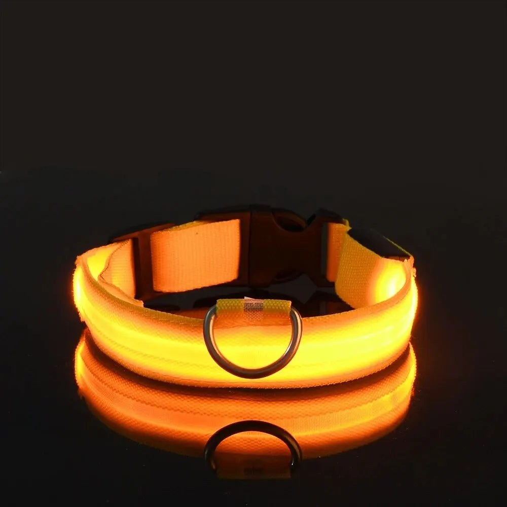 Collier de chien en nylon à LED, colliers pour animaux de compagnie, sécurité nocturne, clignotant, lueur dans la nuit