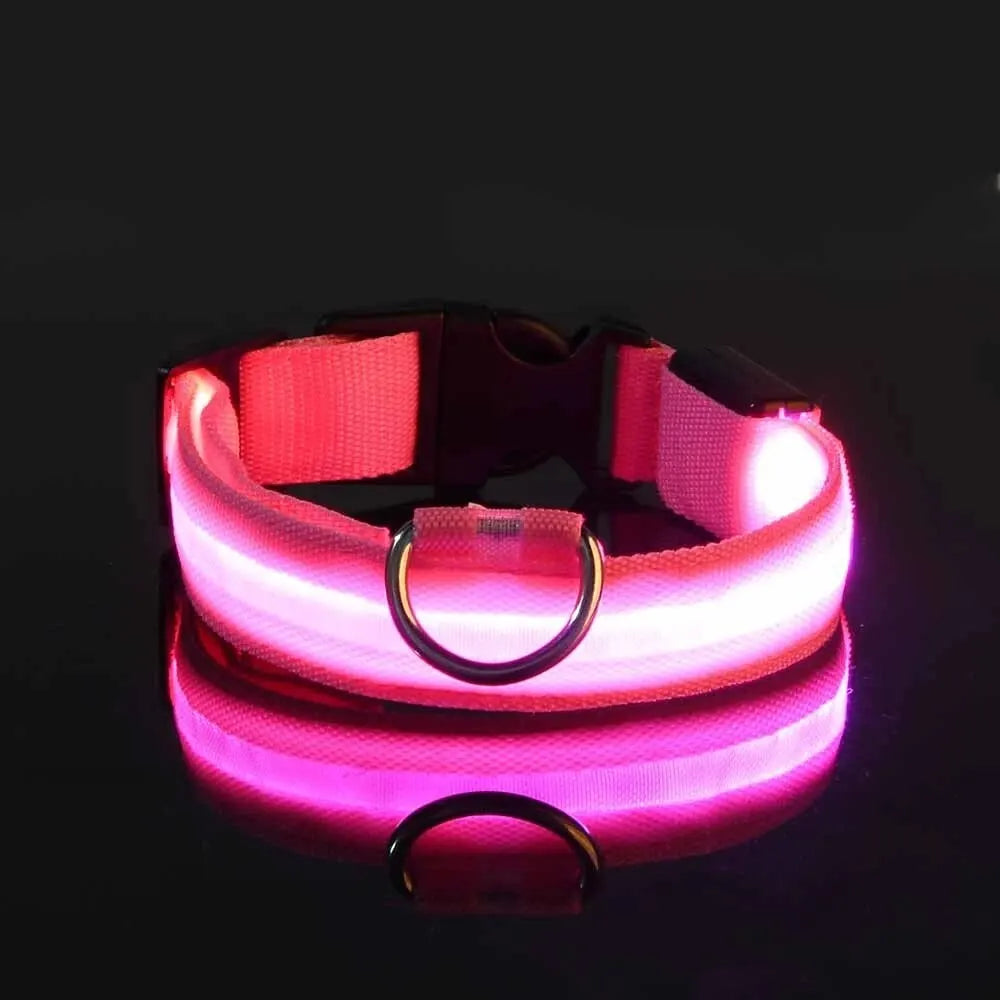 Collier de chien en nylon à LED, colliers pour animaux de compagnie, sécurité nocturne, clignotant, lueur dans la nuit