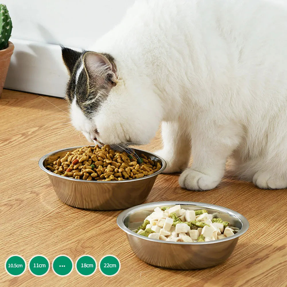 Gamelle en acier inoxydable de grande capacité pour animaux de compagnie, bol à boire pour chat et chien, mangeoire en métal, durable