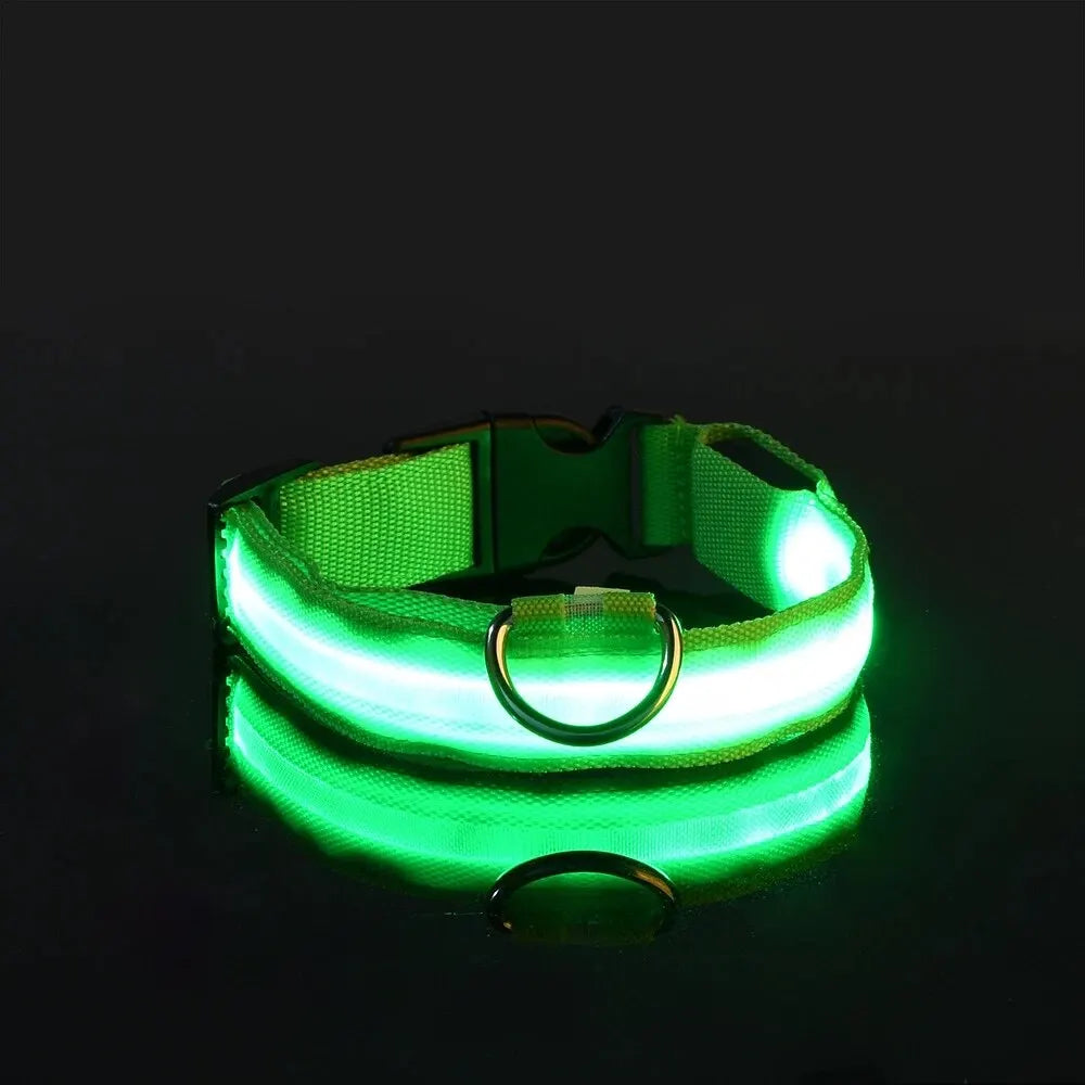 Collier de chien en nylon à LED, colliers pour animaux de compagnie, sécurité nocturne, clignotant, lueur dans la nuit