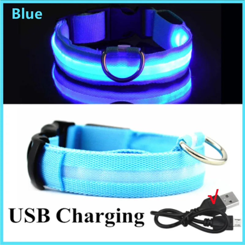 Collier lumineux Rechargeable USB pour chien, réglable, Led, brille, pour grands et petits chiens, chat, veilleuse, sécurité des animaux de compagnie