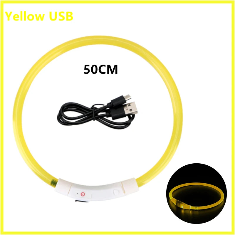 Collier lumineux Rechargeable USB pour chien, réglable, Led, brille, pour grands et petits chiens, chat, veilleuse, sécurité des animaux de compagnie
