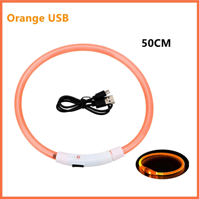 Collier lumineux Rechargeable USB pour chien, réglable, Led, brille, pour grands et petits chiens, chat, veilleuse, sécurité des animaux de compagnie
