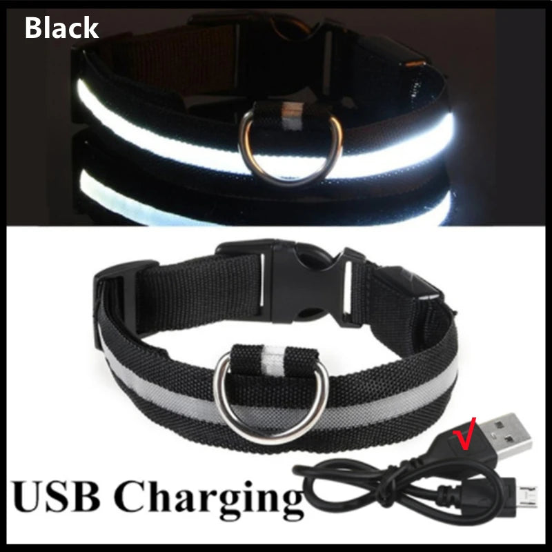 Collier lumineux Rechargeable USB pour chien, réglable, Led, brille, pour grands et petits chiens, chat, veilleuse, sécurité des animaux de compagnie