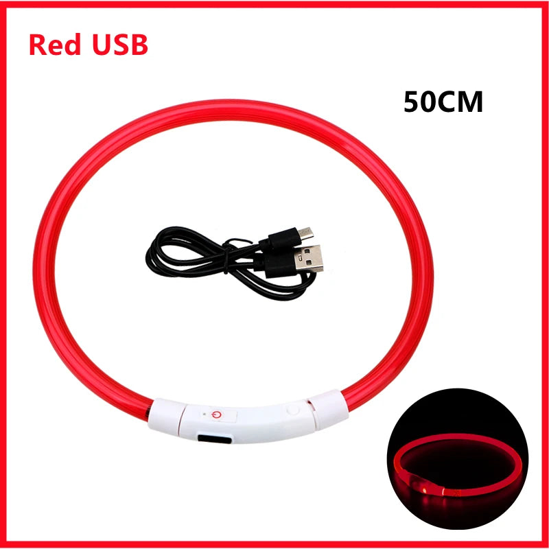 Collier lumineux Rechargeable USB pour chien, réglable, Led, brille, pour grands et petits chiens, chat, veilleuse, sécurité des animaux de compagnie