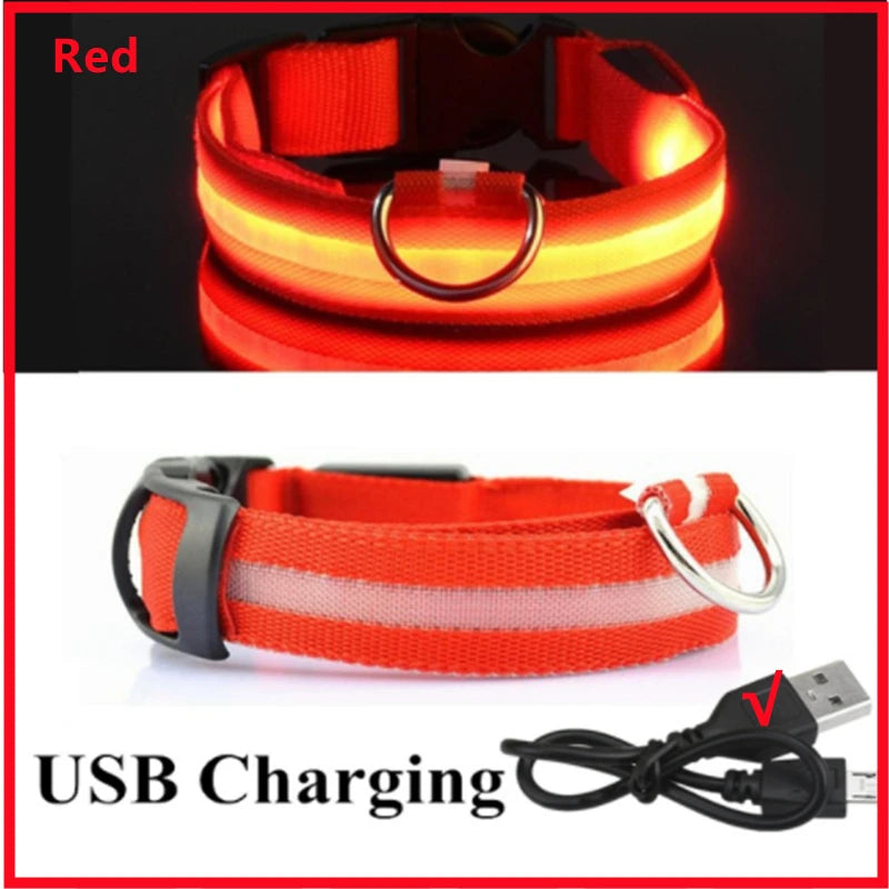 Collier lumineux Rechargeable USB pour chien, réglable, Led, brille, pour grands et petits chiens, chat, veilleuse, sécurité des animaux de compagnie