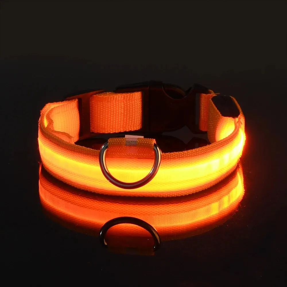 Collier de chien en nylon à LED, colliers pour animaux de compagnie, sécurité nocturne, clignotant, lueur dans la nuit