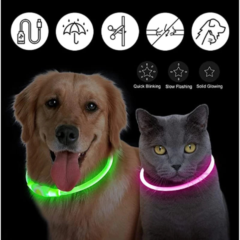 Collier lumineux Rechargeable USB pour chien, réglable, Led, brille, pour grands et petits chiens, chat, veilleuse, sécurité des animaux de compagnie