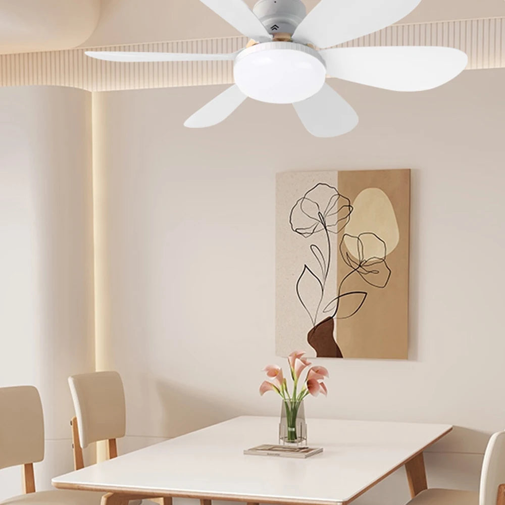 Ventilateur de plafond LED 40W avec télécommande – Douille E27, intensité réglable, (85-265V)