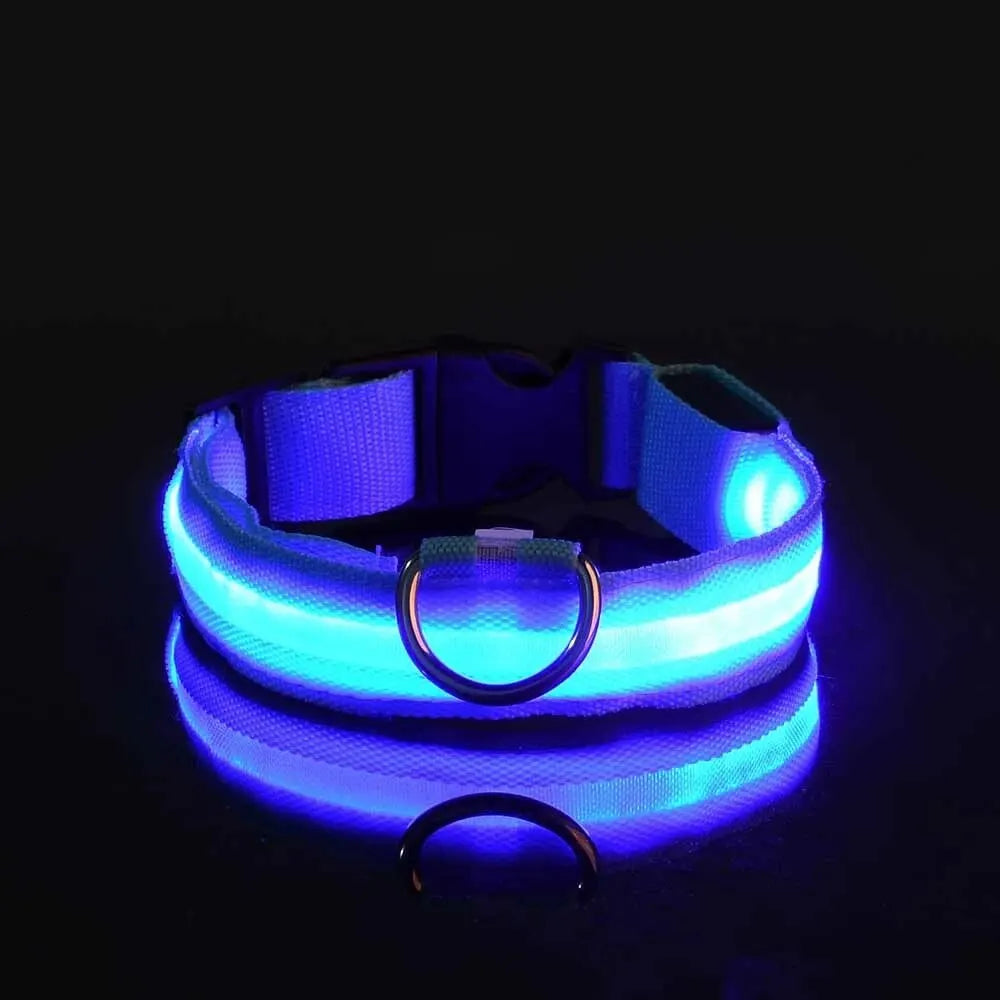 Collier de chien en nylon à LED, colliers pour animaux de compagnie, sécurité nocturne, clignotant, lueur dans la nuit