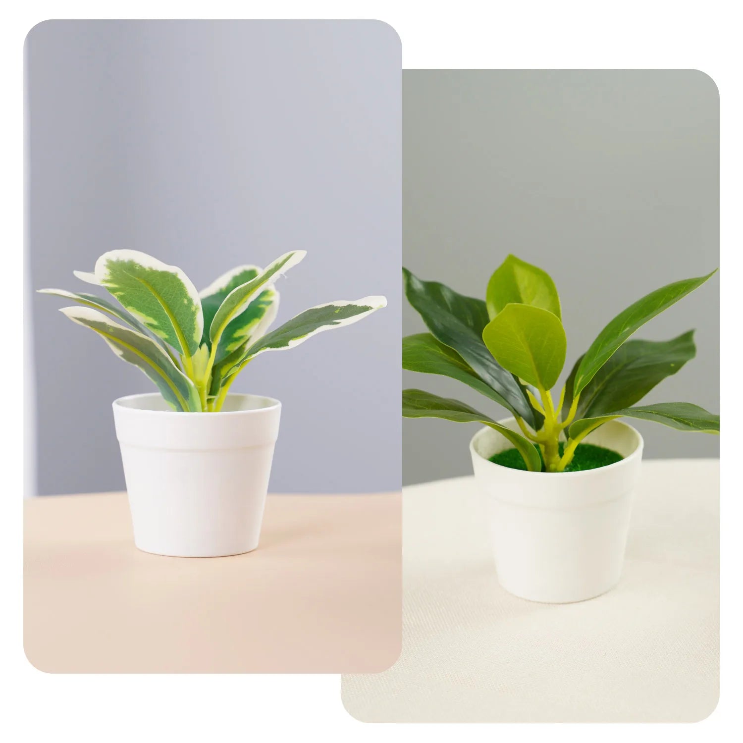 Plantes artificielles, Ornements de table de fleurs artificielles en pot, fausses plantes, simulation de bonsaï, plantes en pot pour jardin, intérieur/extérieur