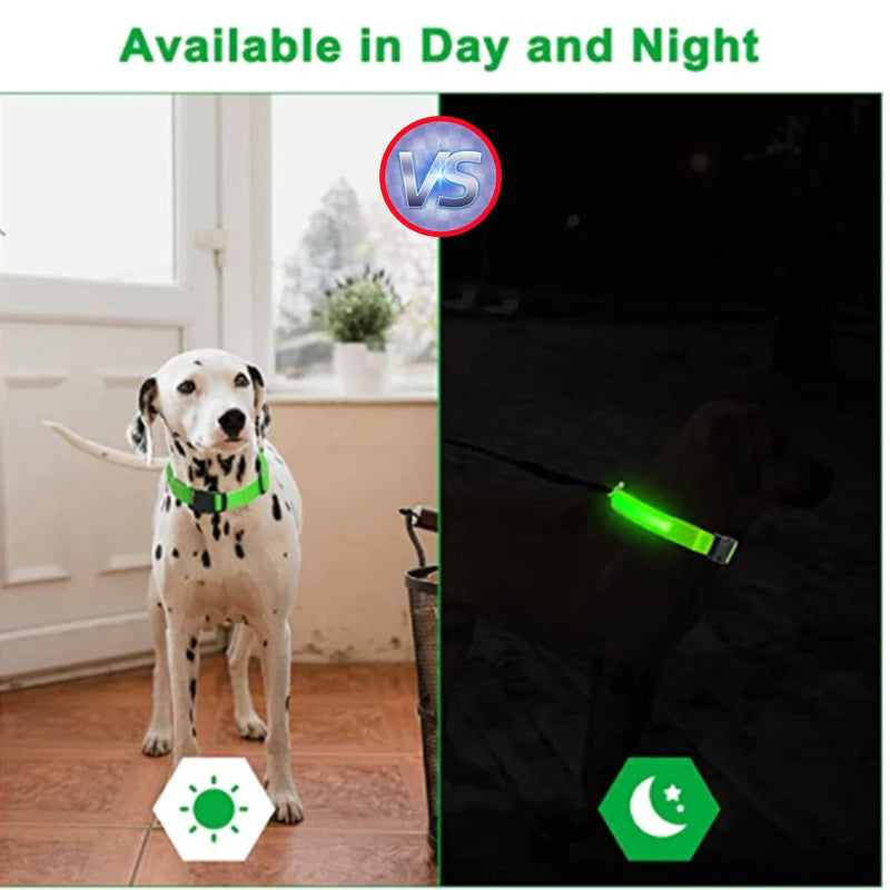 Collier lumineux Rechargeable USB pour chien, réglable, Led, brille, pour grands et petits chiens, chat, veilleuse, sécurité des animaux de compagnie