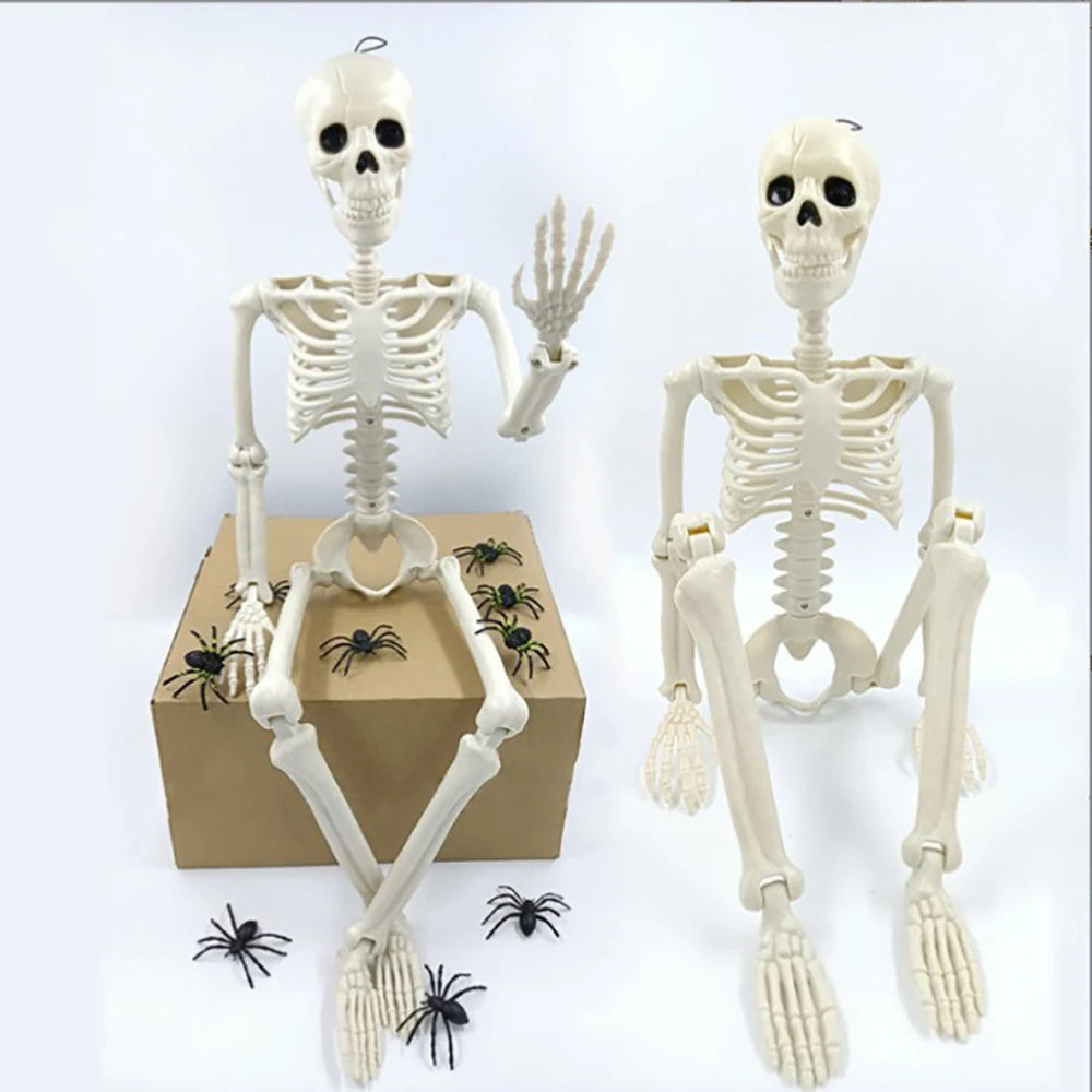 Modules Humains 40 cm – Accessoires Horreur Halloween, Maison Hantée