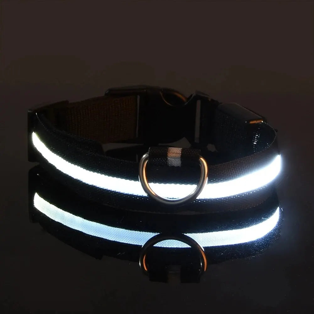 Collier de chien en nylon à LED, colliers pour animaux de compagnie, sécurité nocturne, clignotant, lueur dans la nuit