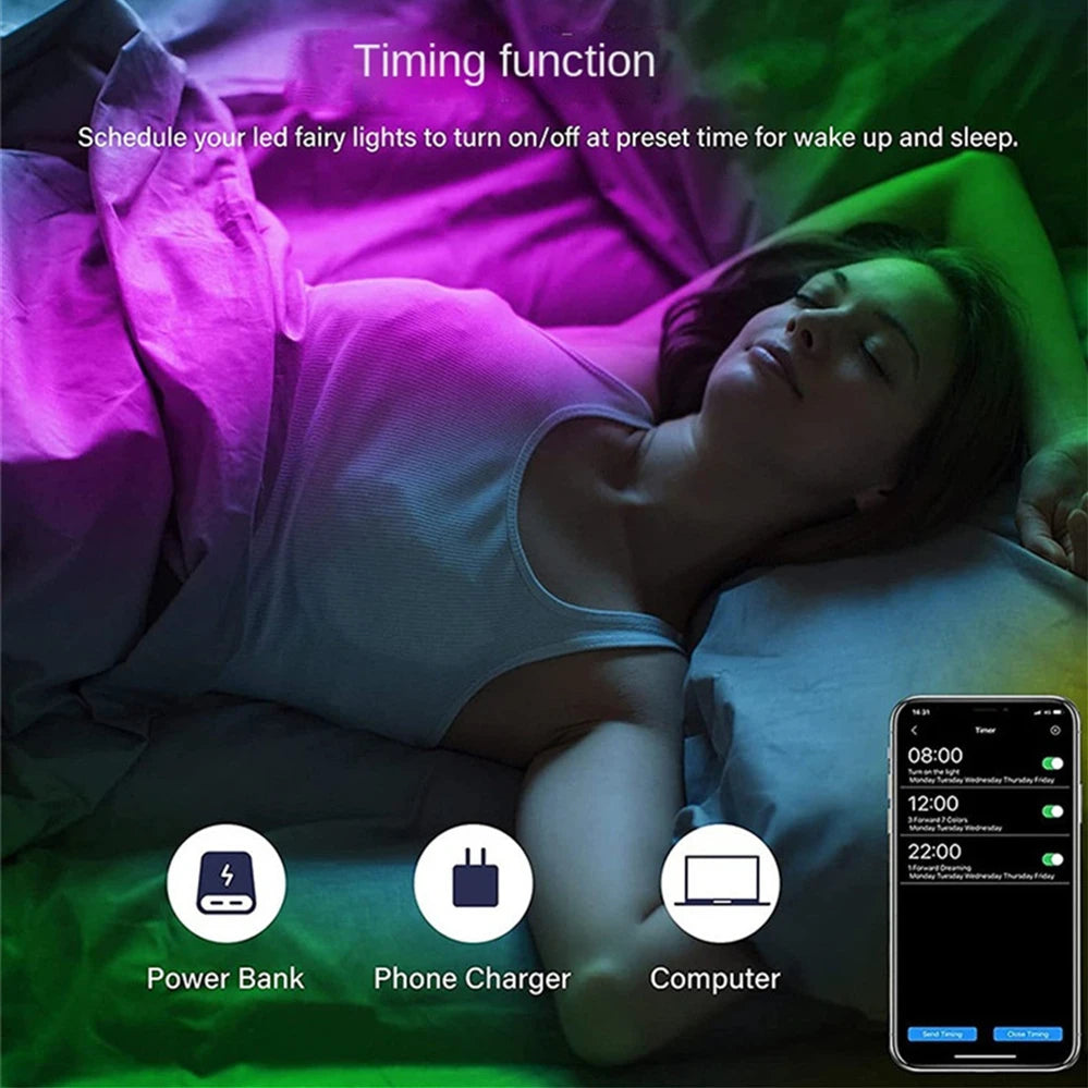 5/10/15/20M LED chaîne lumière Bluetooth USB Tuya WiFi connexion noël fête d'anniversaire guirlande décor fée lumières pour la maison