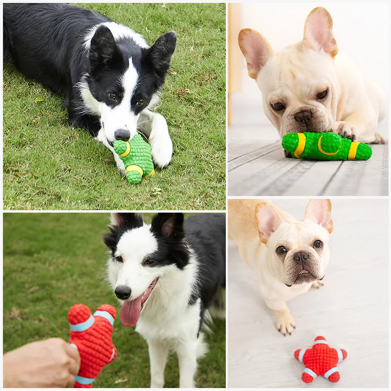 Ballon de Football en Latex Naturel pour Chien, Jouet à Mâcher Interactif, Doux et Rebondissant, Durable, pour Petits, Moyens et Grands Chiens