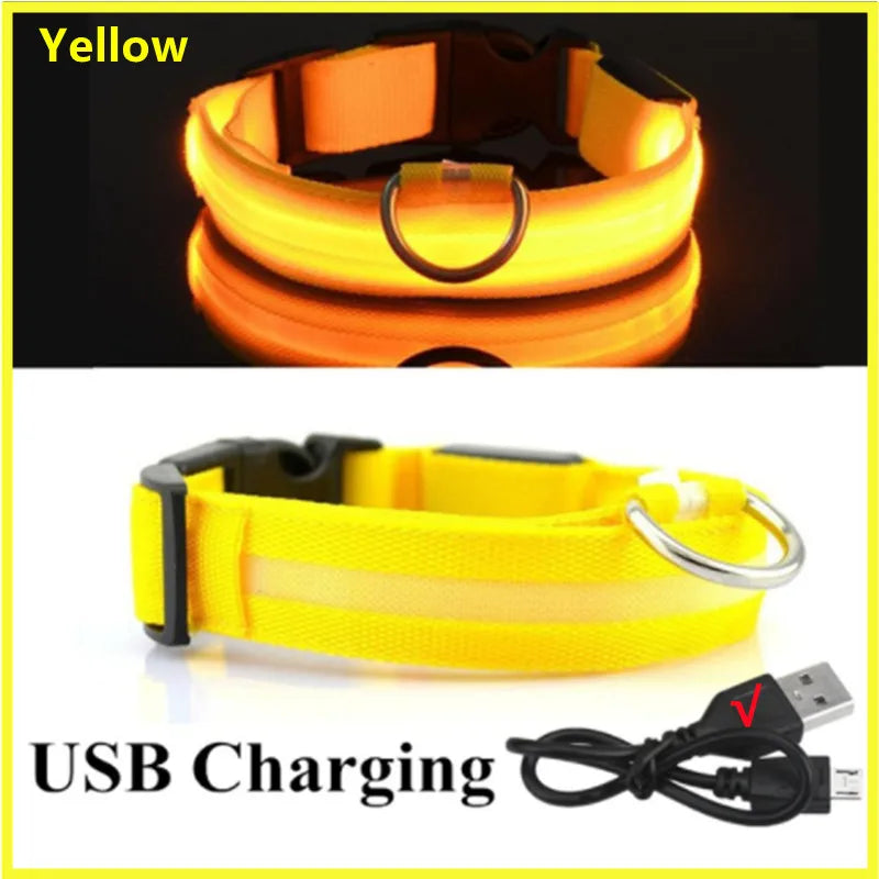Collier lumineux Rechargeable USB pour chien, réglable, Led, brille, pour grands et petits chiens, chat, veilleuse, sécurité des animaux de compagnie
