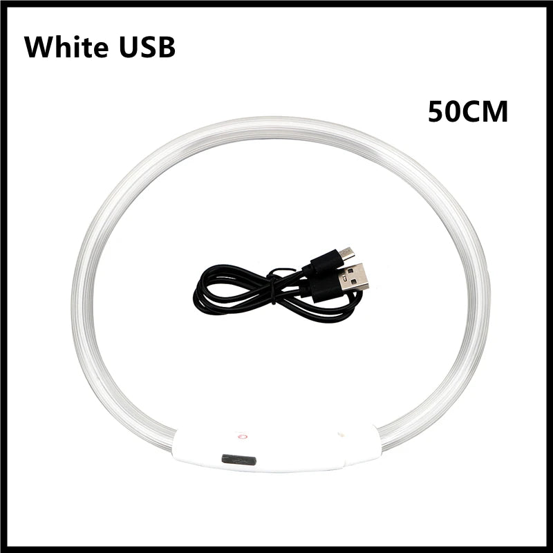 Collier lumineux Rechargeable USB pour chien, réglable, Led, brille, pour grands et petits chiens, chat, veilleuse, sécurité des animaux de compagnie