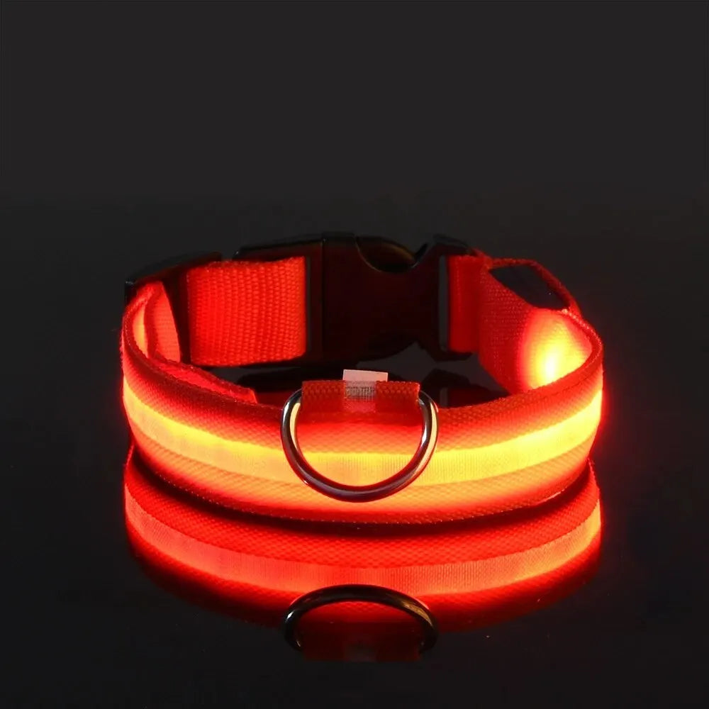 Collier de chien en nylon à LED, colliers pour animaux de compagnie, sécurité nocturne, clignotant, lueur dans la nuit