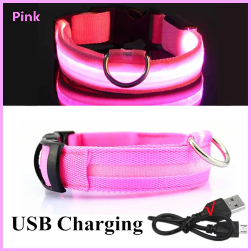Collier lumineux Rechargeable USB pour chien, réglable, Led, brille, pour grands et petits chiens, chat, veilleuse, sécurité des animaux de compagnie