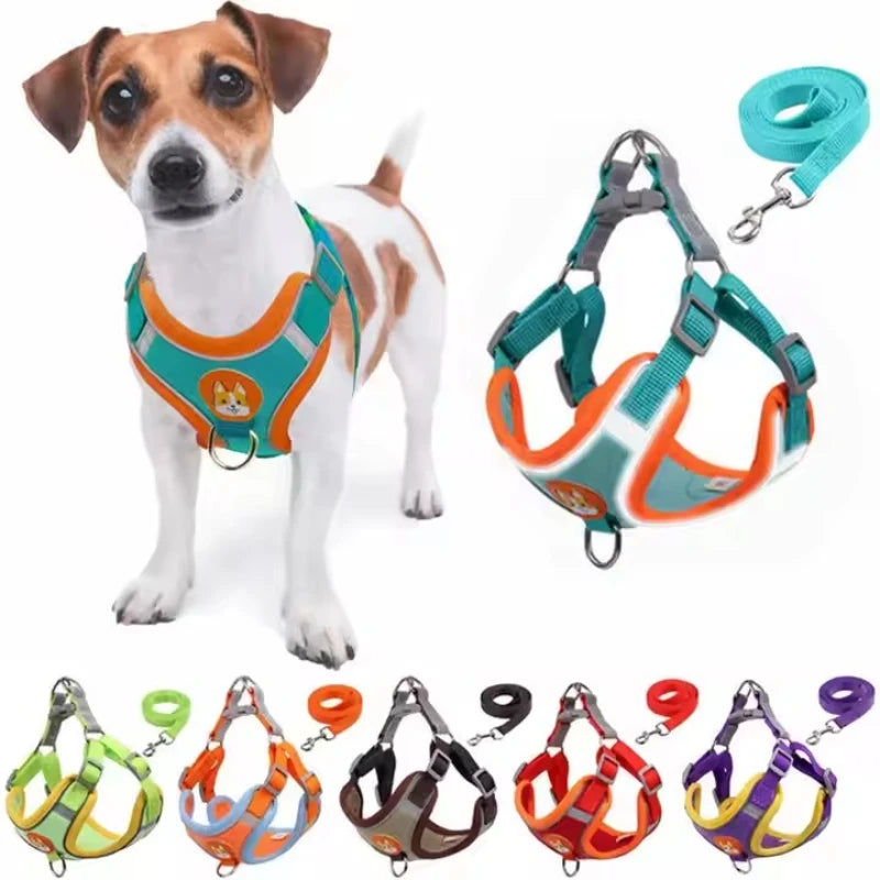 Harnais, Ensemble de Laisse SFP Réglable pour Petits et Moyens Chiens, Sangle de Poitrine pour Chiot, Fournitures de Marche en Plein Air pour Animaux de Compagnie