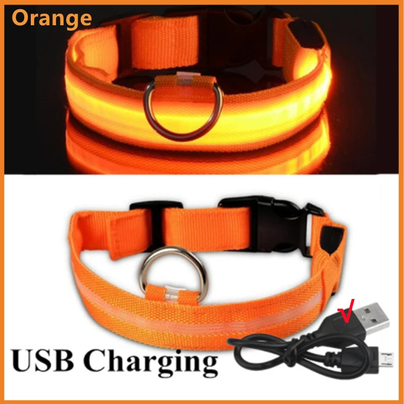 Collier lumineux Rechargeable USB pour chien, réglable, Led, brille, pour grands et petits chiens, chat, veilleuse, sécurité des animaux de compagnie