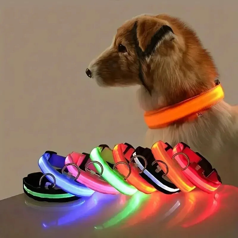 Collier de chien en nylon à LED, colliers pour animaux de compagnie, sécurité nocturne, clignotant, lueur dans la nuit
