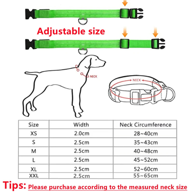 Collier lumineux Rechargeable USB pour chien, réglable, Led, brille, pour grands et petits chiens, chat, veilleuse, sécurité des animaux de compagnie