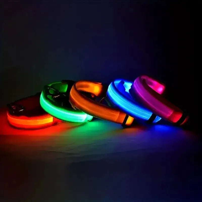 Collier de chien en nylon à LED, colliers pour animaux de compagnie, sécurité nocturne, clignotant, lueur dans la nuit