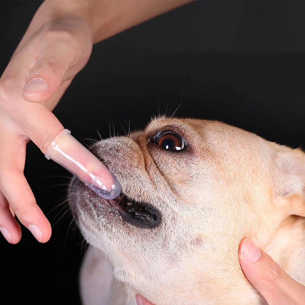 Super Soft Silica Gel Pet Toothbrush Dog Cat Oral Cleaning Brush Bad Breath Tartar Dental Care Tool