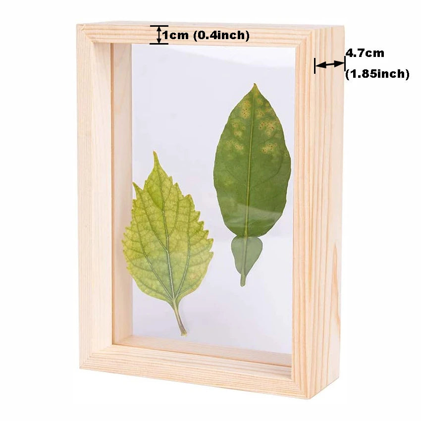 Wooden Photo Frames, Double Sided Acrylic Plant Specimen Display for Pressed Flowers Dried Leaves Table Decoration