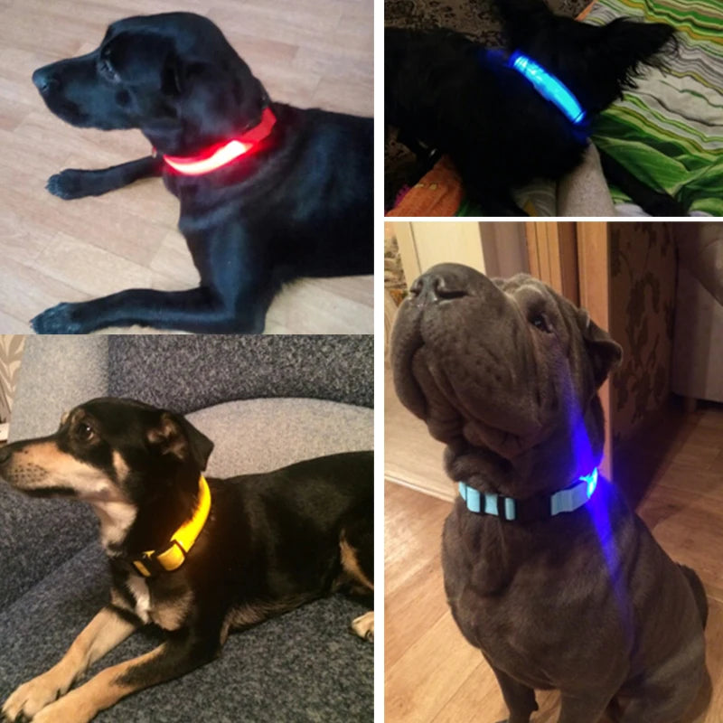 Collier de chien en nylon à LED, colliers pour animaux de compagnie, sécurité nocturne, clignotant, lueur dans la nuit