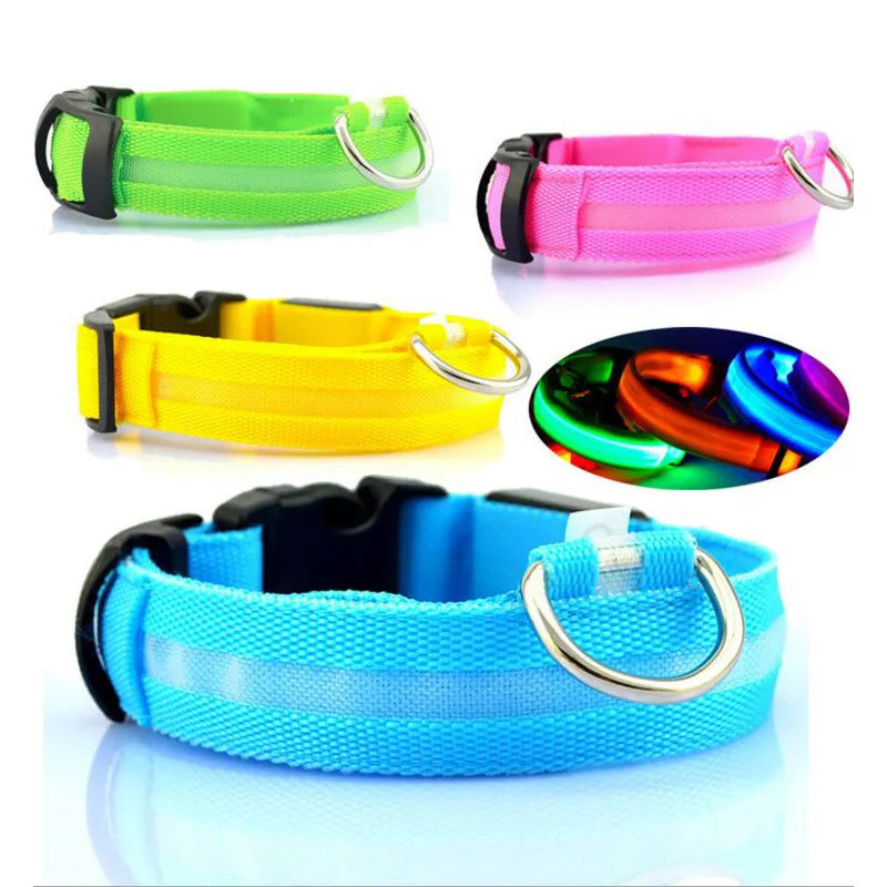 Collier de chien en nylon à LED, colliers pour animaux de compagnie, sécurité nocturne, clignotant, lueur dans la nuit