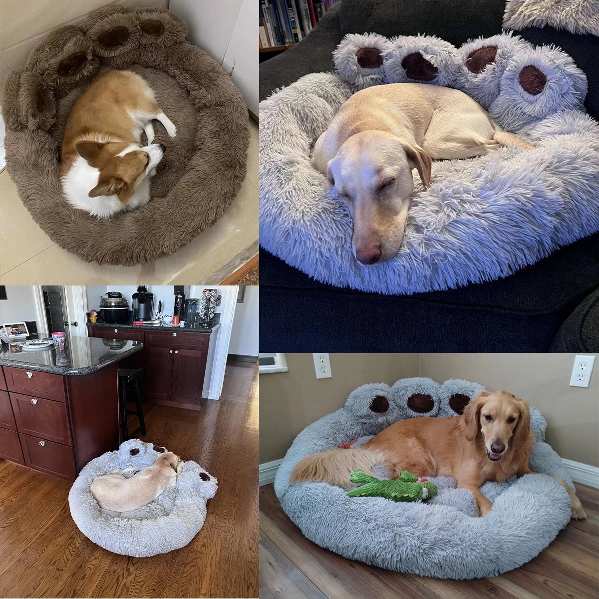 PET BED