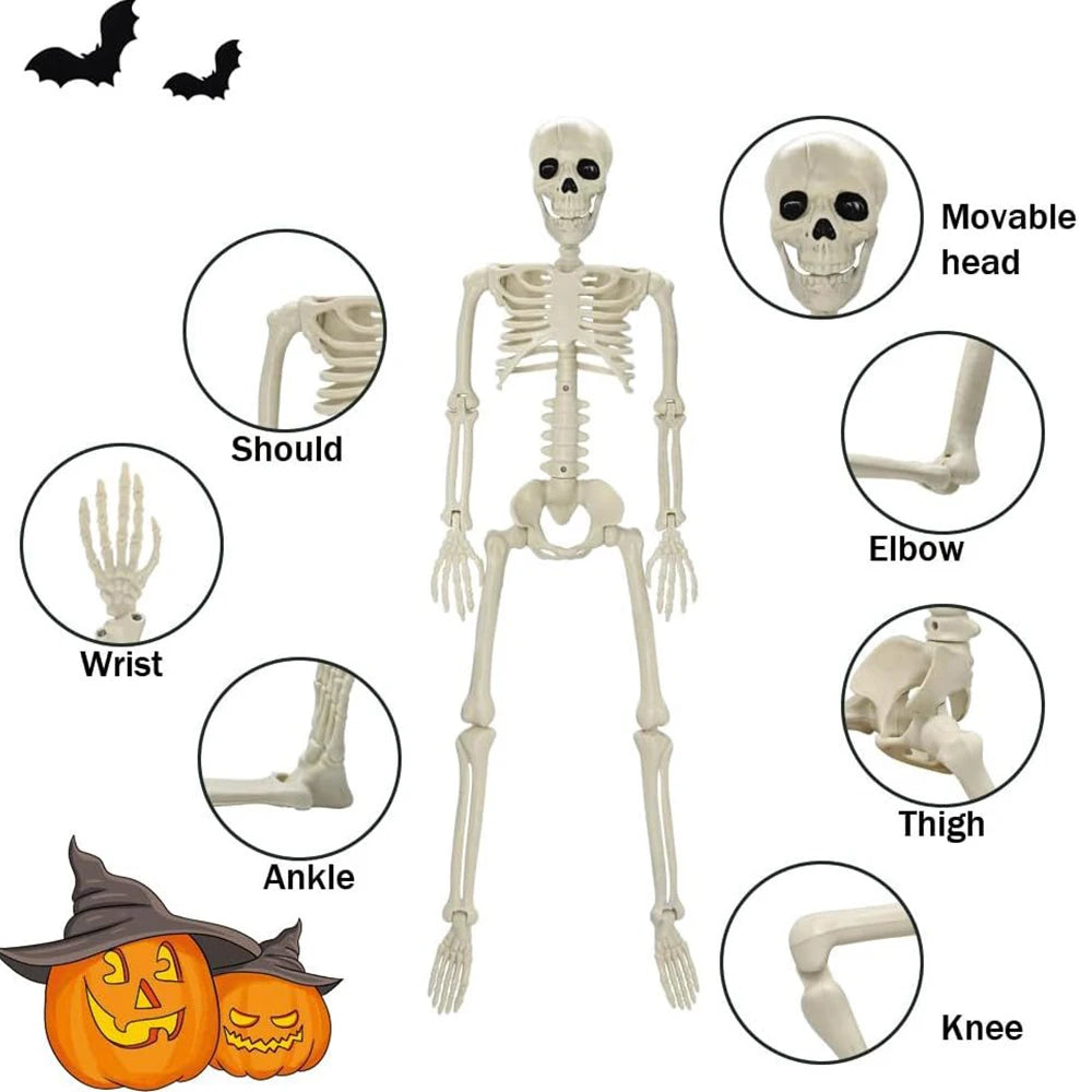 Modules Humains 40 cm – Accessoires Horreur Halloween, Maison Hantée
