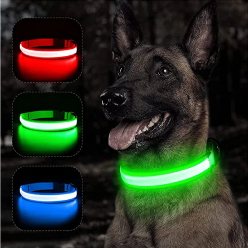 Collier lumineux Rechargeable USB pour chien, réglable, Led, brille, pour grands et petits chiens, chat, veilleuse, sécurité des animaux de compagnie